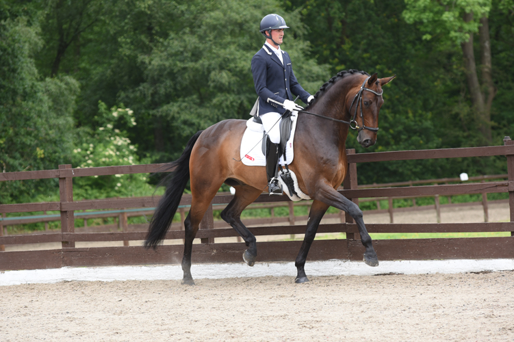 Horatio-and-Jezz-June-2016-trot